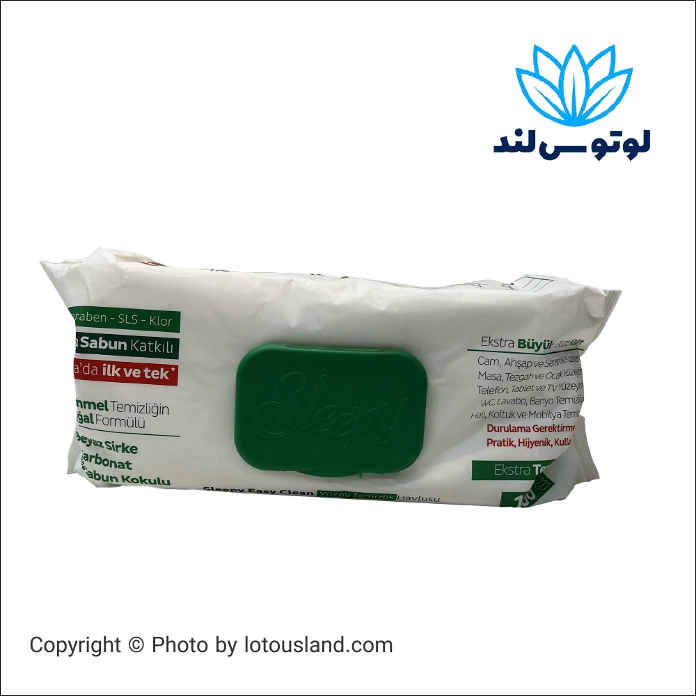 دستمال مرطوب تمیز کننده سطوح اسلیپی مدل Easy Clean سرکه سفید و جوش شیرین بسته 100 عددی